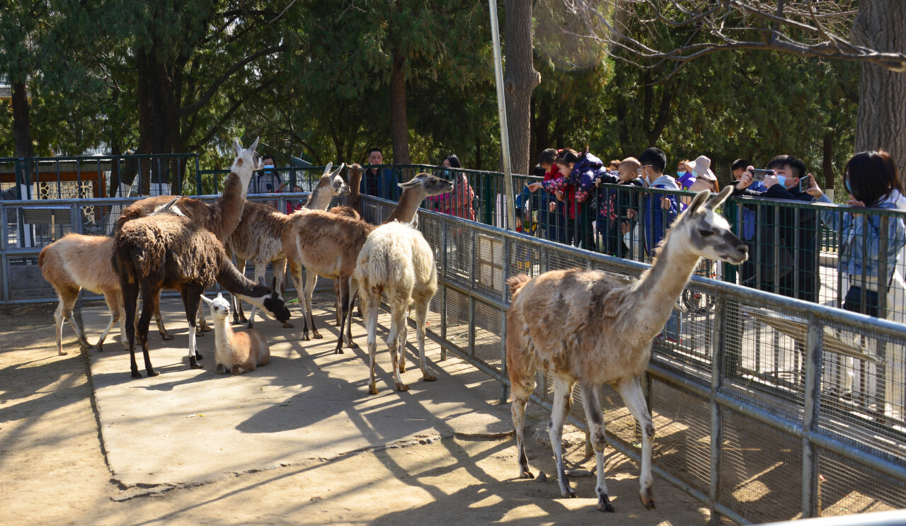 济南遛娃免费攻略,济南适合遛娃的地方