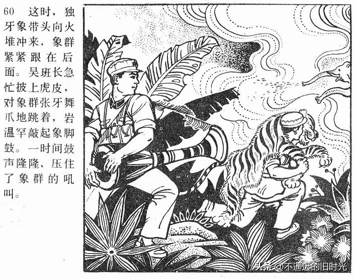 大象搬家,大象搬家河北