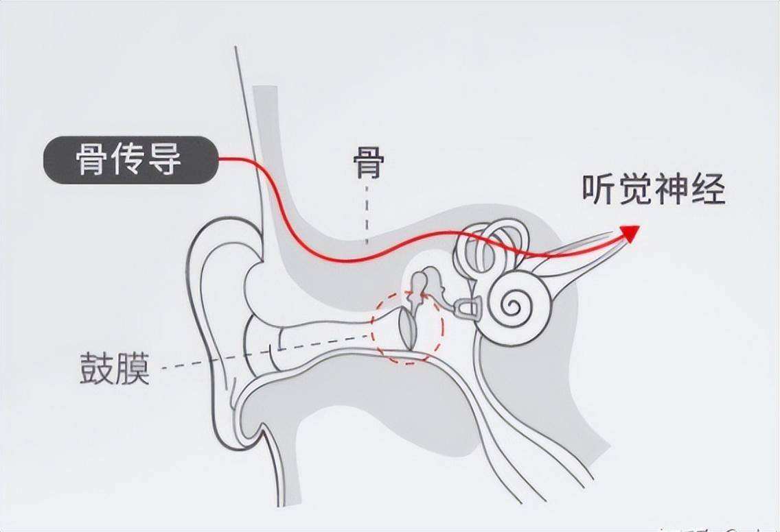 什么品牌的运动耳机比较好,挂脖耳机运动耳机