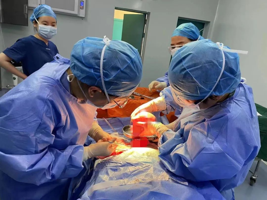 孕期左侧卵巢囊肿能顺产吗,孕妇卵巢囊肿20厘米