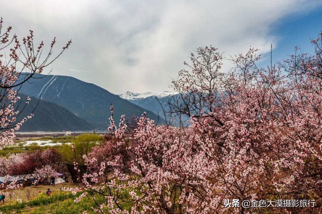 3月份去西藏林芝,3-4月去西藏林芝好玩吗