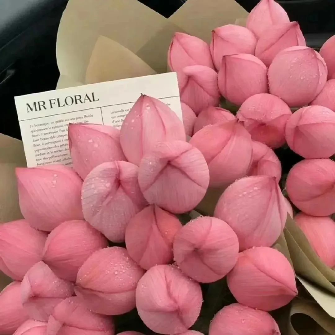 餐厅氛围感背景图,纯粉背景图氛围感