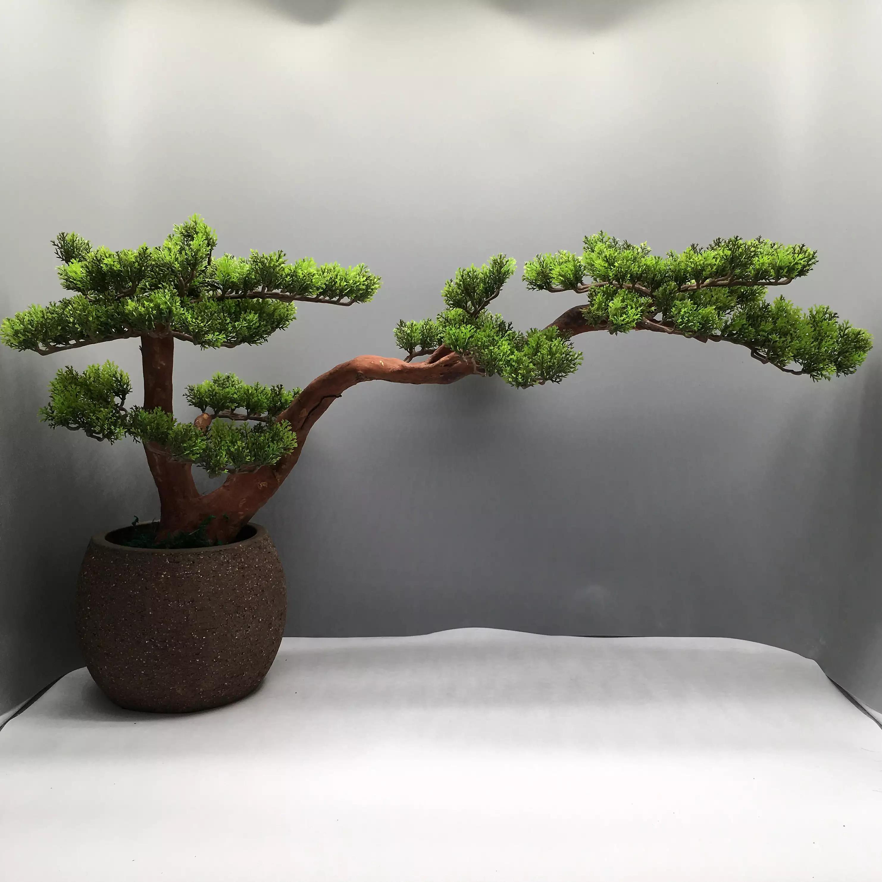 美丽的植物花卉图片大全,美丽的仿真植物