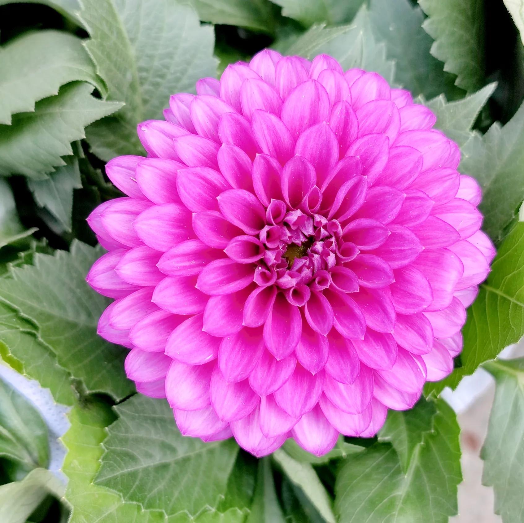 情暖冬至的古诗,春分立夏冬至