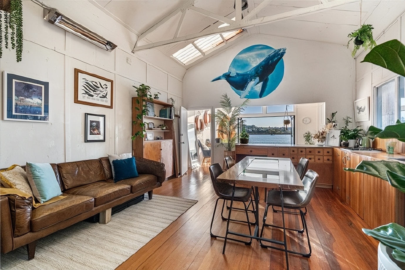 新西兰人的特点 (为什么新西兰人这么美)