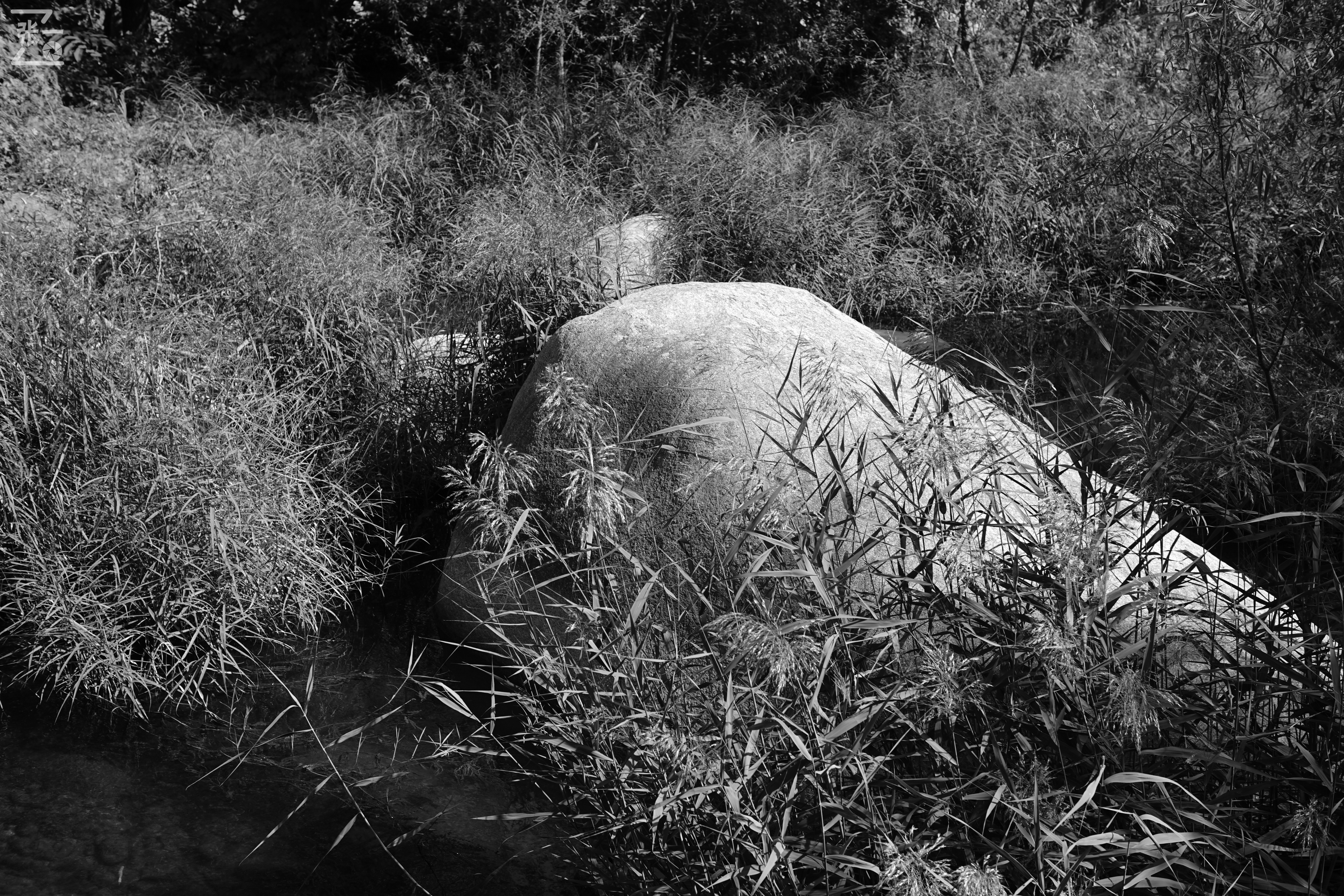 老镜头实拍,老镜头拍北京