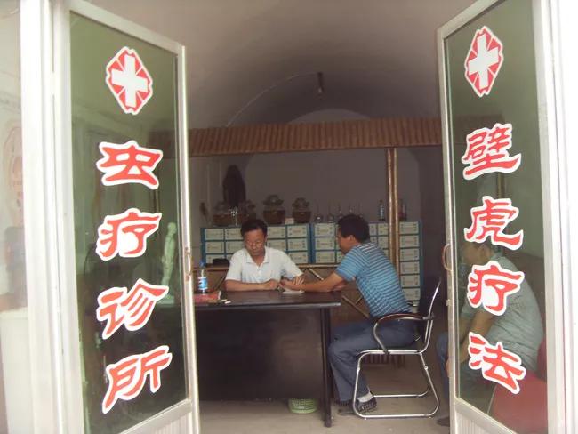 克迈拉昆虫是什么,克迈拉昆虫吃树根吗