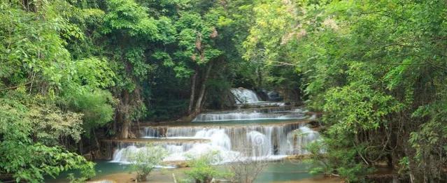 圣人之道为而不争的读音,圣人之道为而不争