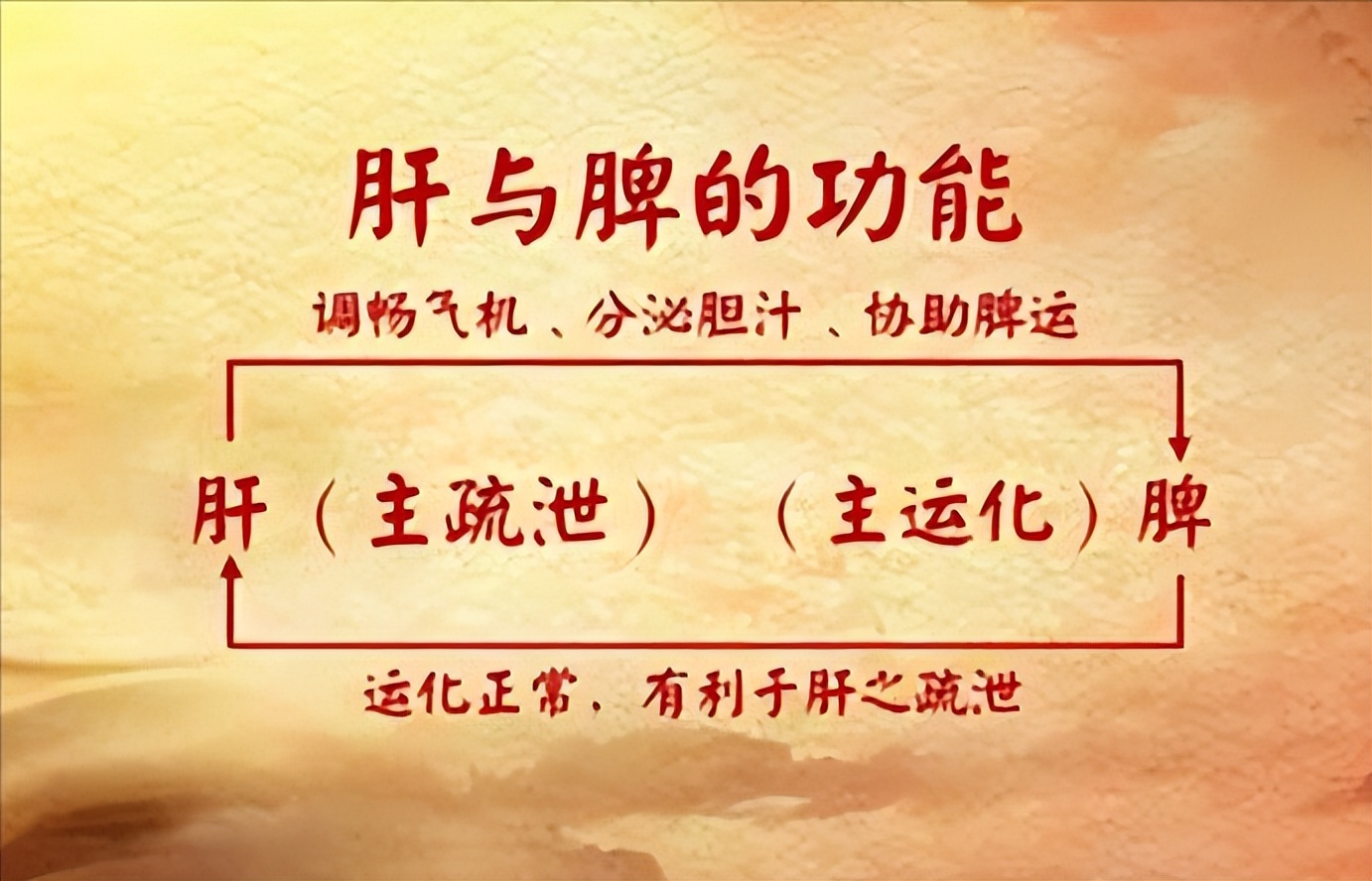 疏肝解郁调和肝脾的中成药,调和肝脾打通中焦的中成药