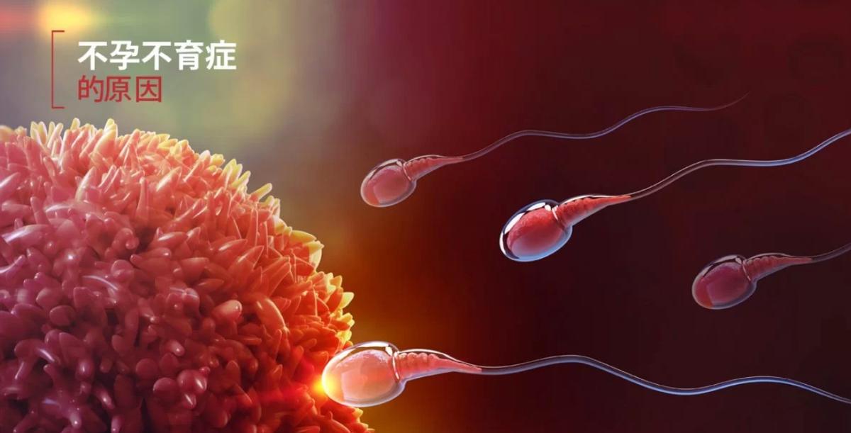 中医治疗不孕症最佳方法,中医治疗不孕不育有治疗好的吗