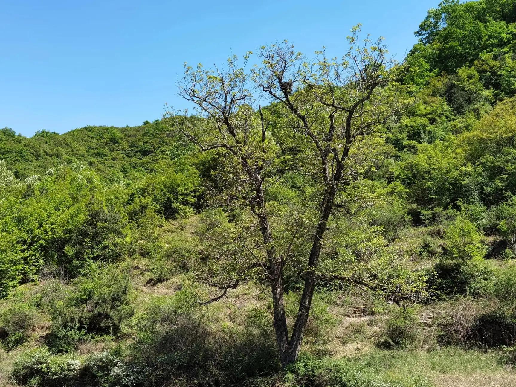 灵岩大佛山徒步,徒步灵岩山寺美篇