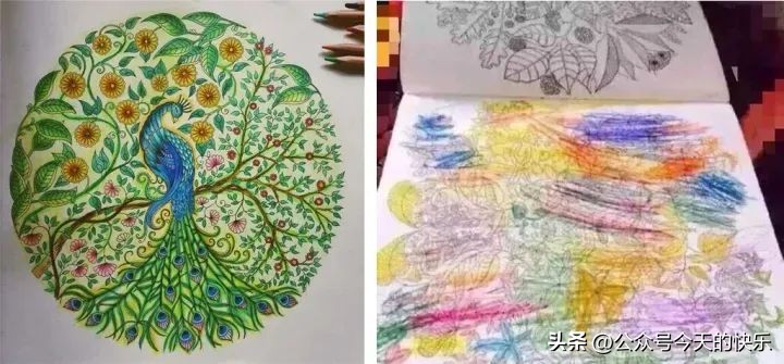 第135期：那些年花冤枉钱买回家吃灰的东西