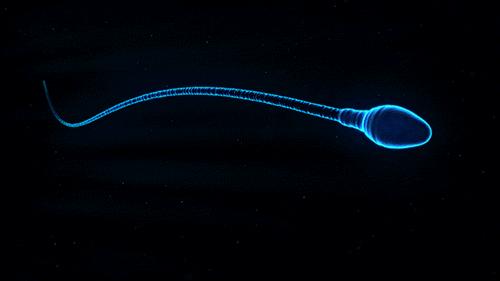 英国一医生将精液倒入患者咖啡中！除了恶心，会不会感染性病？