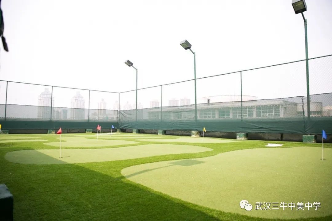 武汉三牛中美中学,武汉三牛中美中学排名及费用