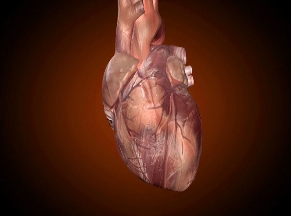 最新国际正常心率范围,心跳多少次算正常范围