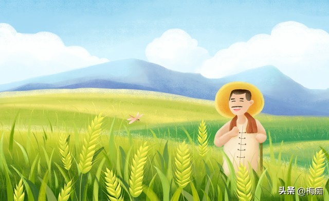 苏北农业补贴2020粮食补贴,农村种植大户粮食补贴每年都补吗