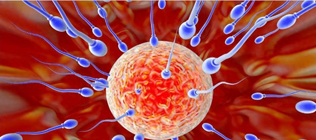 穿越时空的勇士,穿越时空的小战士