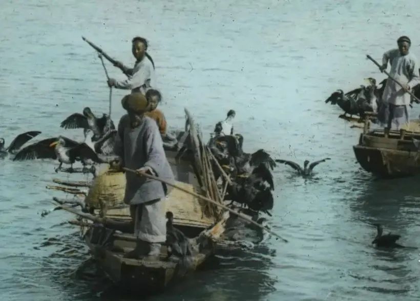 运河文化的纪录片,运河文化全集