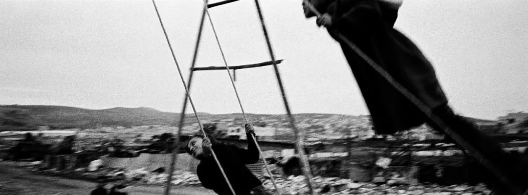 高磊绽放青春,高磊临朐