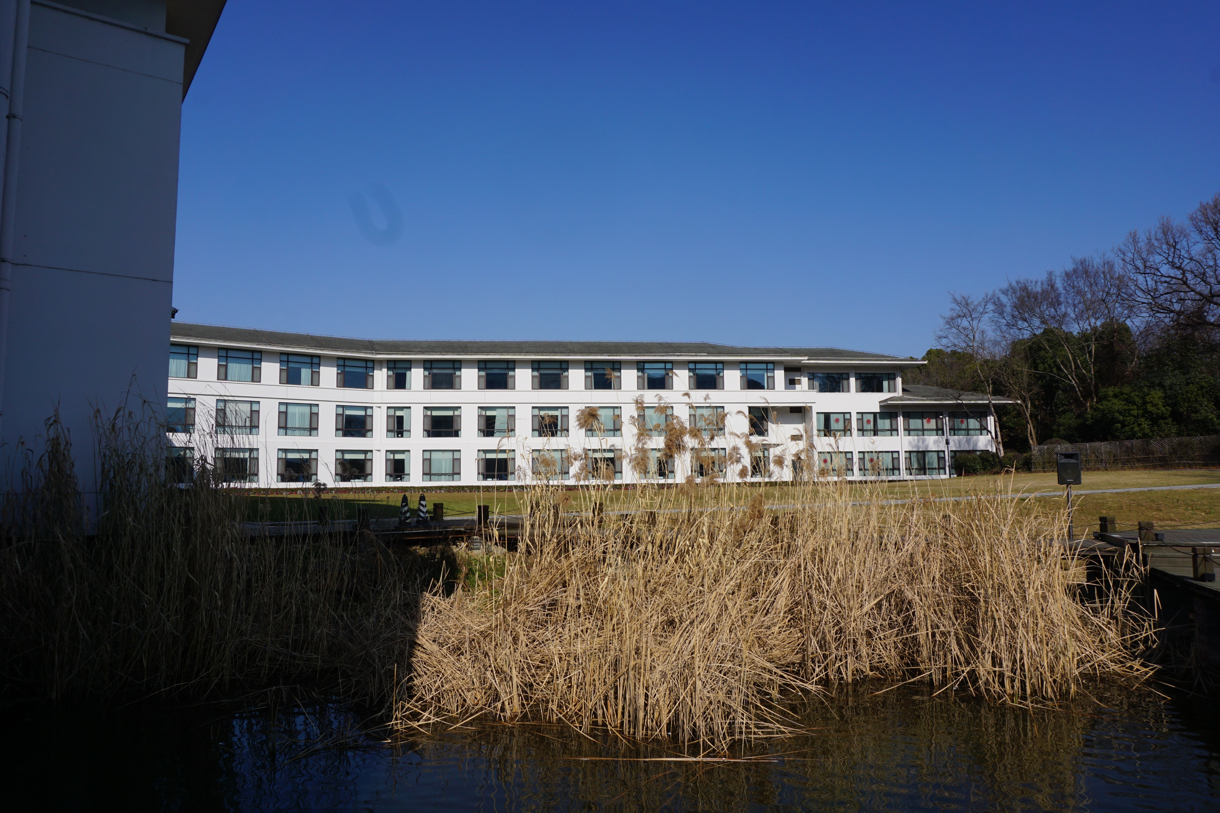 南京人看杭州,南京紫金山庄在哪里