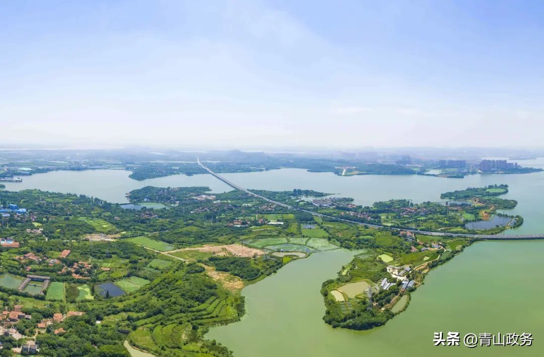 助力我市碳达峰行动落地,碳达峰金融