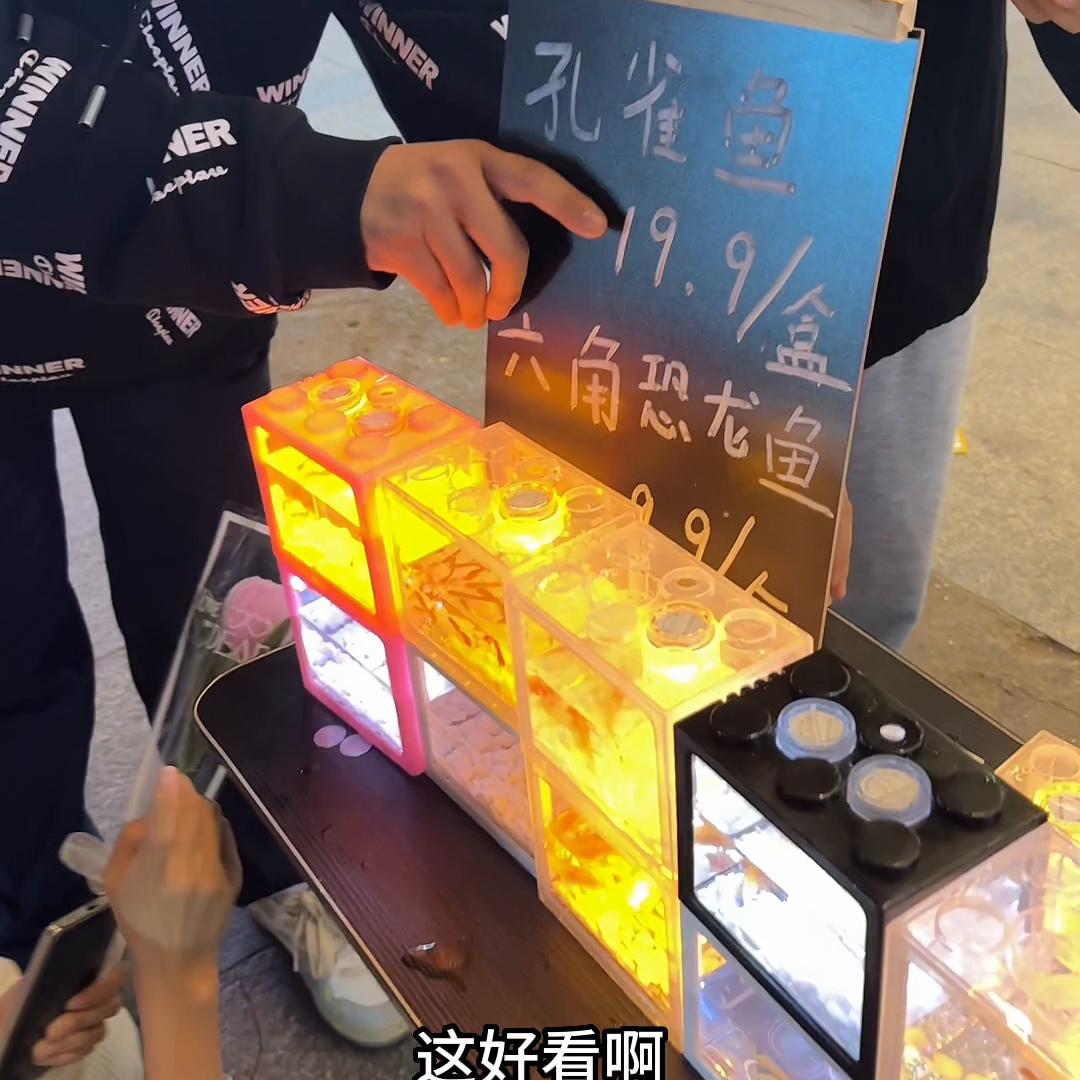 摆摊卖孔雀鱼多久回本正常,摆地摊卖孔雀鱼怎么能卖得动