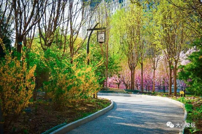 北京花海休闲公园,帝都游乐场