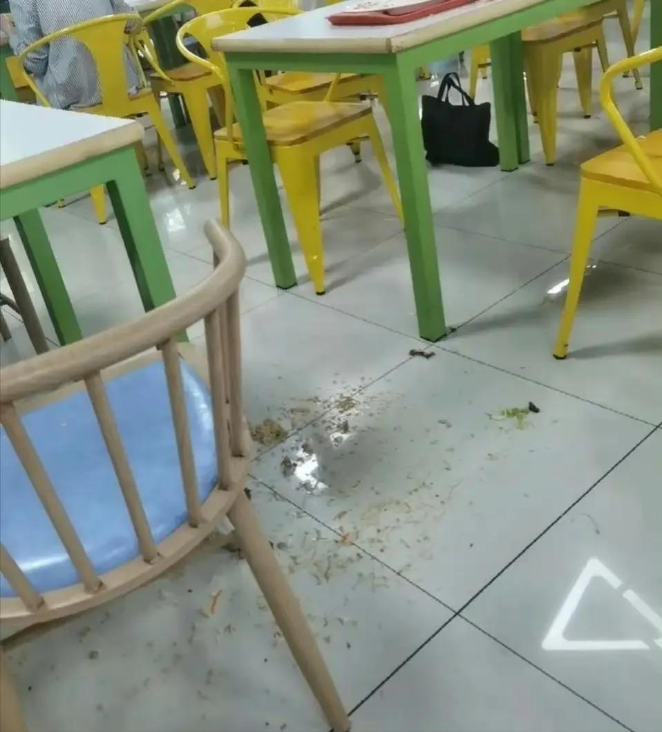 猫屎太臭是猫粮不好吗,猫屎太臭是消化不好吗