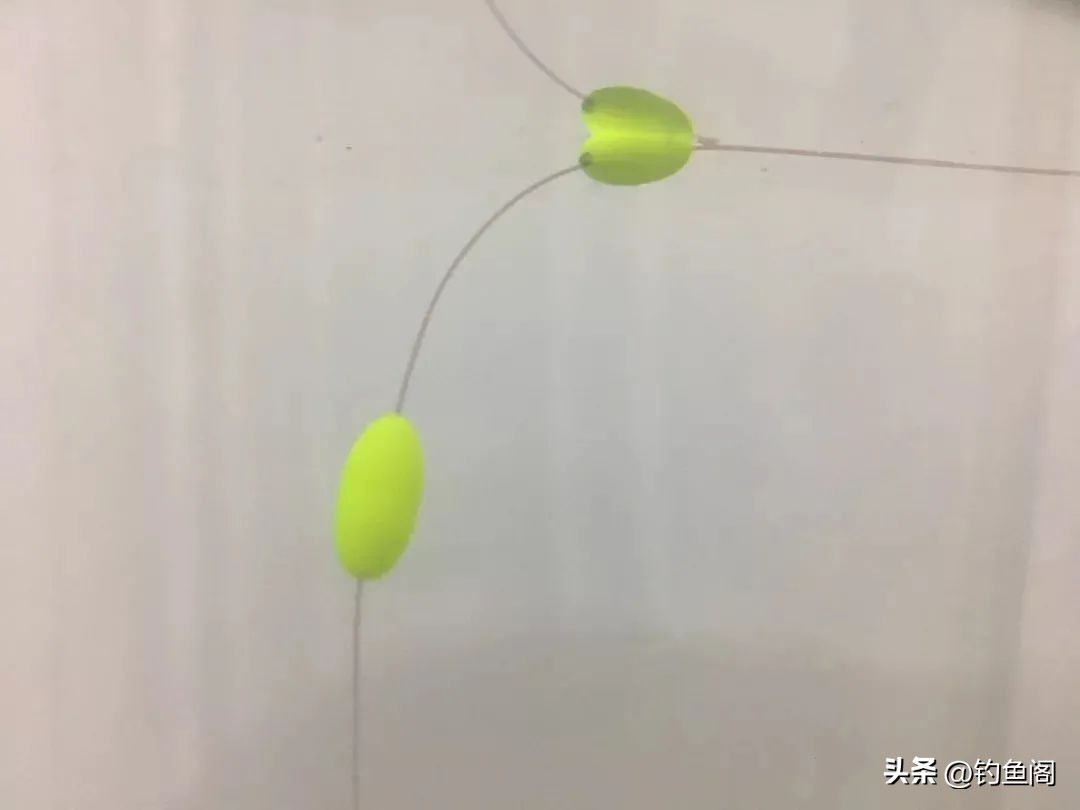 钓鱼新技巧你学会了吗,钓鱼的这几大误区钓鱼人应该知道