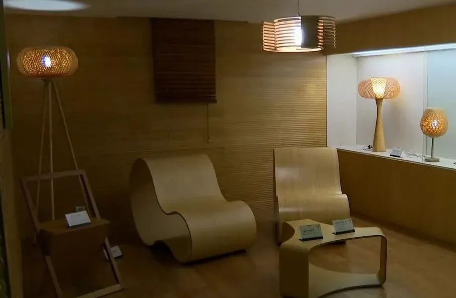 一根竹子打造一万亿产业 (一根小竹子做出大产业)