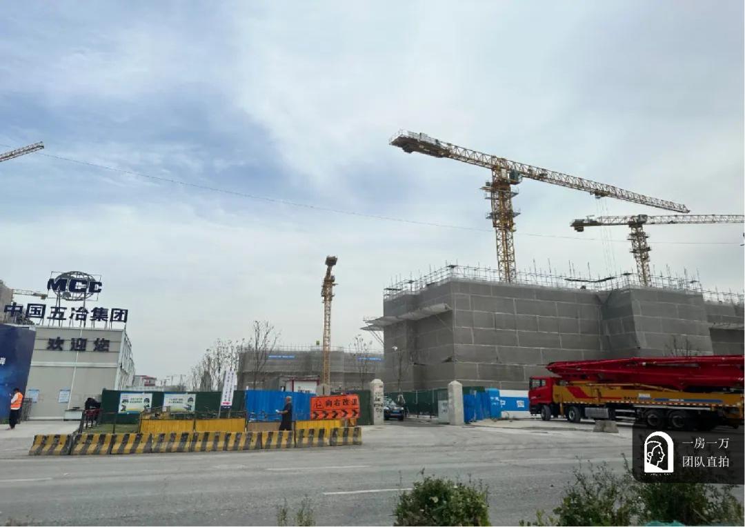 南大！桃浦！能否实现1+1＞2的效果？带飞西北部经济价值增长？