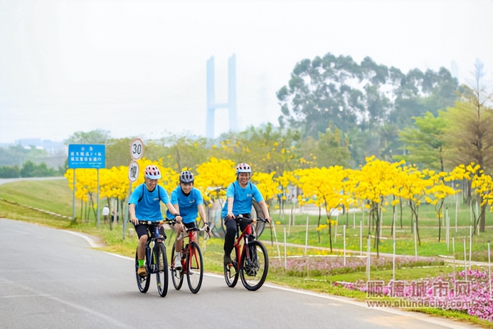 活力顺德精彩绽放！多项大型体育活动同步打响