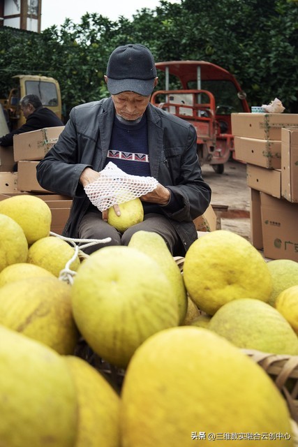 农业发展重点突破,农业创新发展模式
