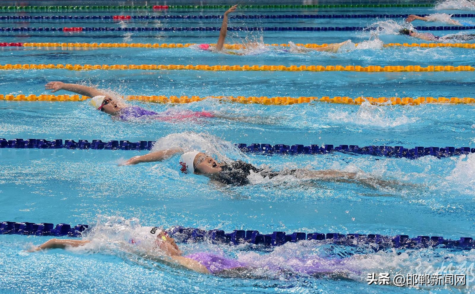 【聚焦河北省第十六届运动会】“浩沙FAFA”杯青少年游泳锦标赛开赛
