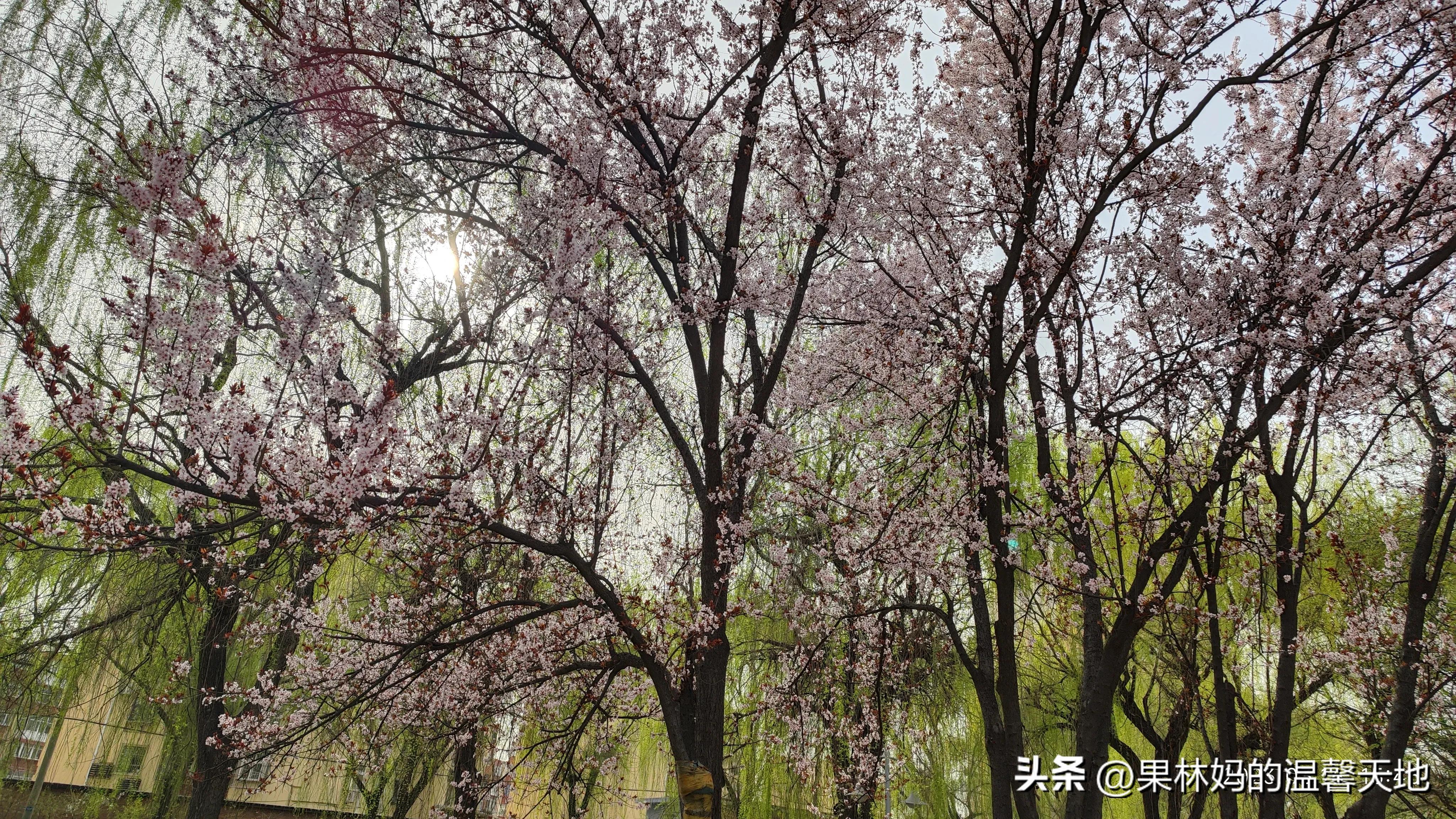 鼻腔有异物可以看急诊吗,晚上鼻腔异物看急诊