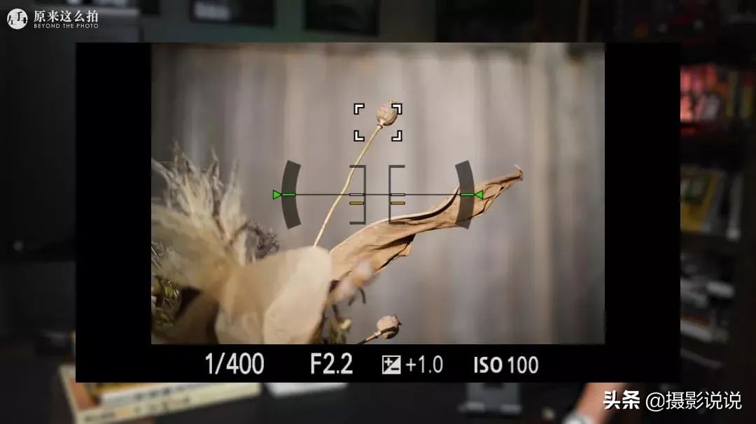 张千里推荐镜头,张千里视频直播