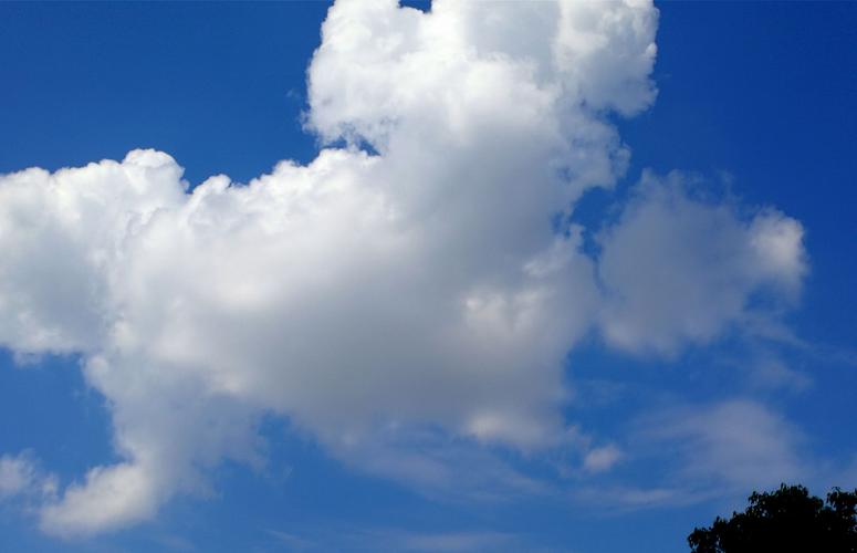 身软无力中医辨证,四肢无力中医辨证