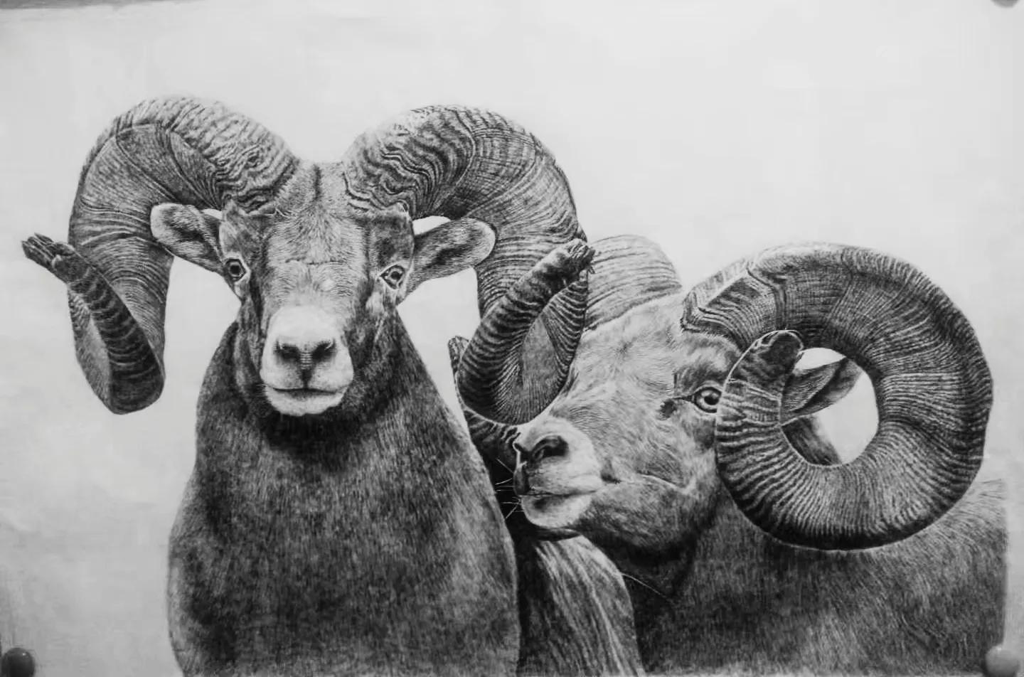 幸福原创画吧,幸福画吧画友作品