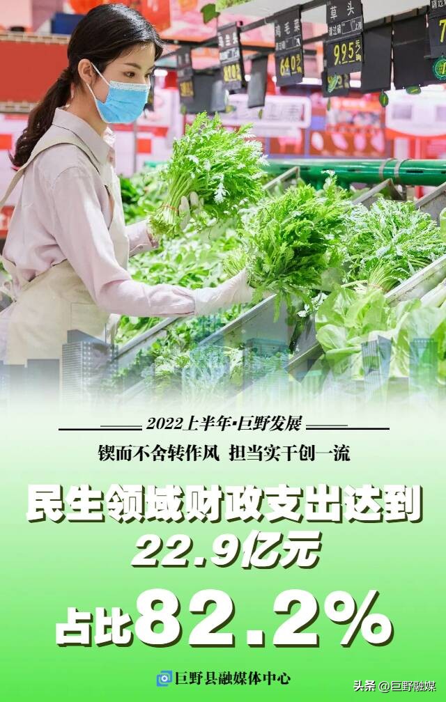 山东巨野县成绩查询,解读年报业绩