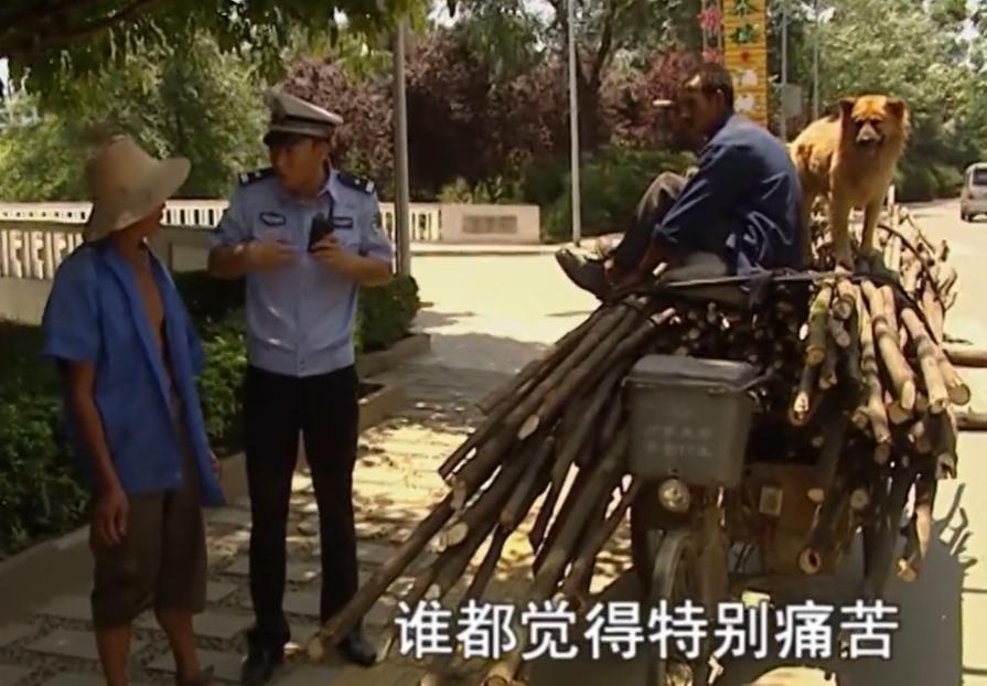 谭乔回应谭谈交通遭下架,谭乔事件引走热度