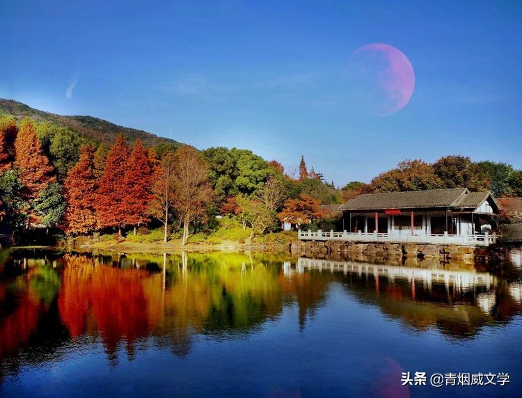 为艺术多一次曝光