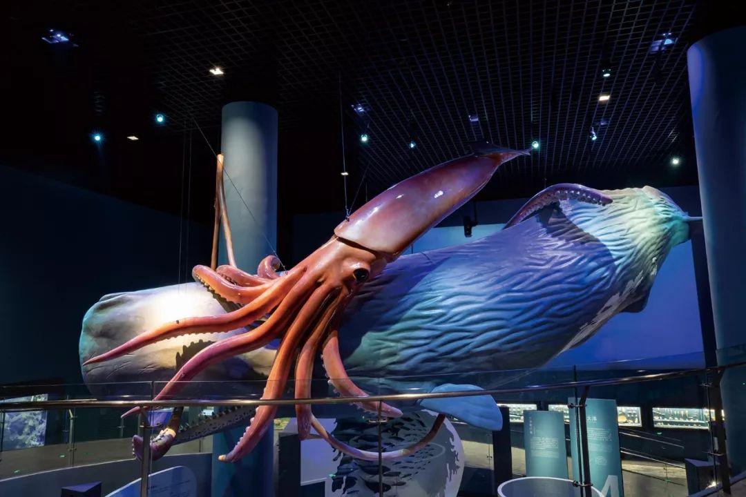 安吉旅游度假,安吉好玩还是千岛湖好玩