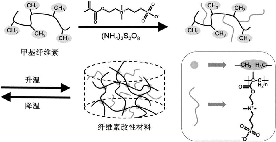 碱处理提取红麻纤维素的研究