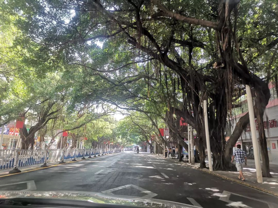 北海市港鹏公园印象二手房,广西北海印象物业公司