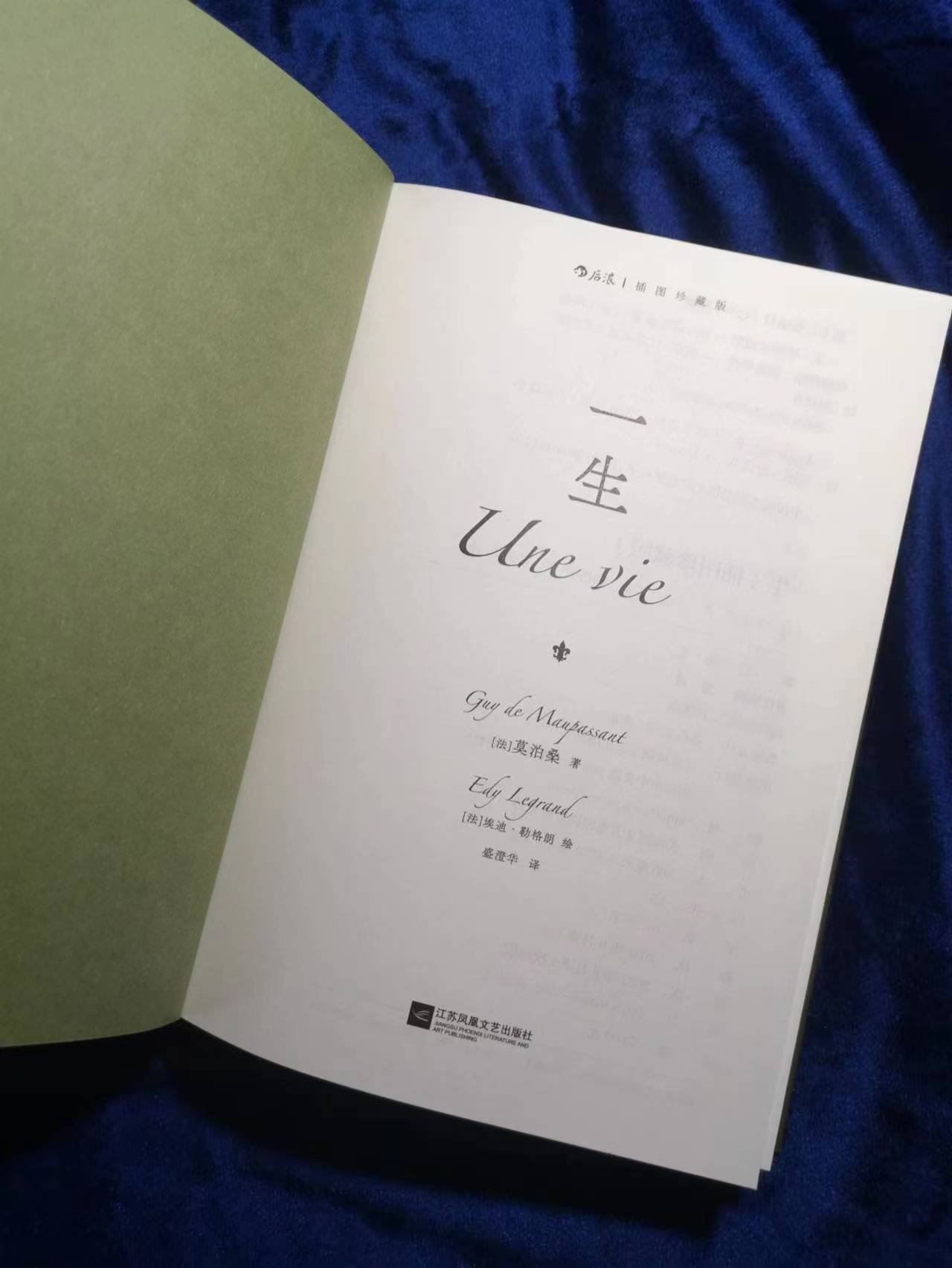 足球评论员贺炜莫泊桑,诗人贺炜莫泊桑煽情足球解说