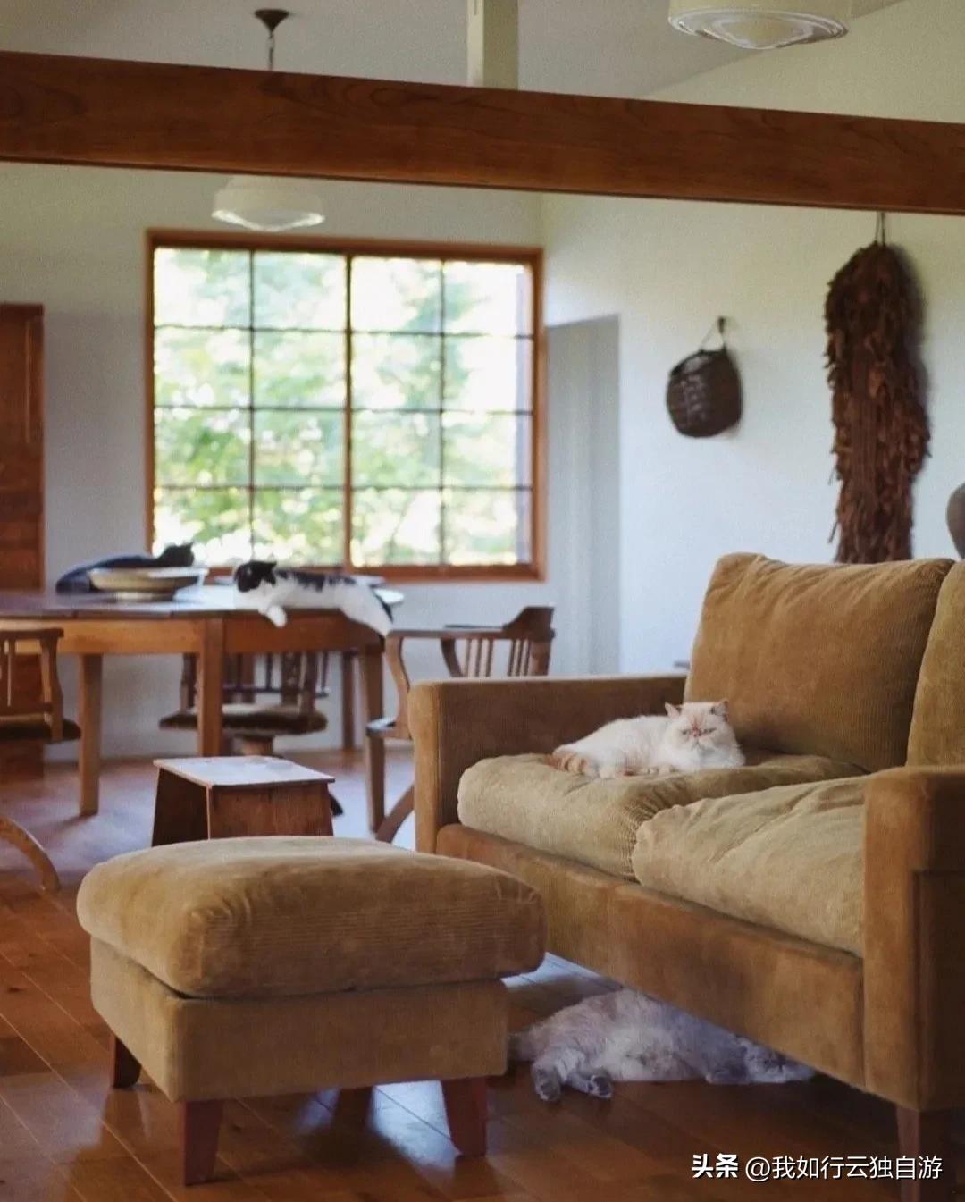 日本中古之家：与古家具和猫咪一起生活的日本博主