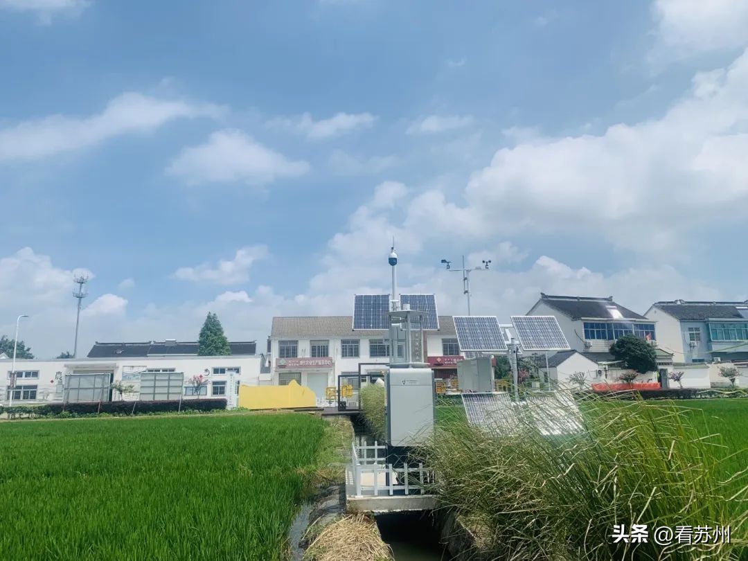 苏州湾现代农业公司,苏州无人化农场视频