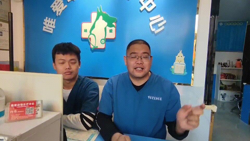 优惠票需要什么,优惠通讯