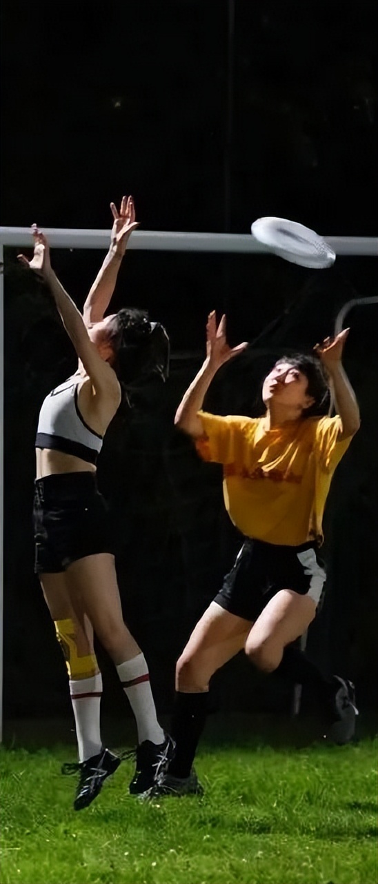 上海玩宠物,上海玩狗户外