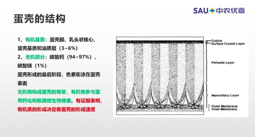 中农优嘉饲料好在哪方面,中农优嘉预混料质量怎么样